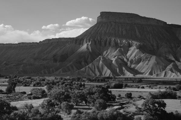 Captured 2025:08:02 17:58:45 <hr> X-T3 <br> XF60mmF2.4 R Macro <hr> @ 60 mm - 1/550 sec, &fnof;/ 9.0, 320 ISO