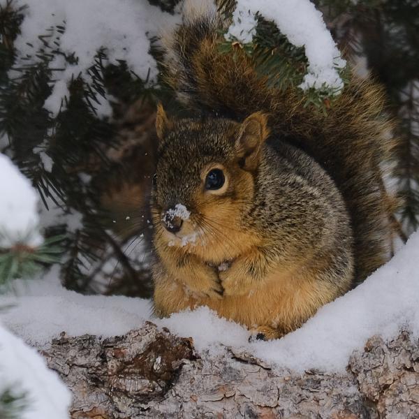 Captured 2023:11:25 10:25:23 <hr> X-T3 <br> XC50-230mmF4.5-6.7 OIS II <hr> @ 230 mm - 1/340 sec, &fnof;/ 6.7, 1000 ISO